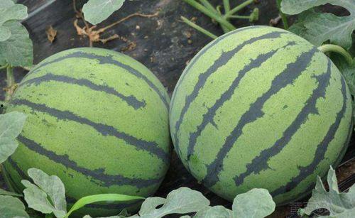 娱乐吃瓜酱山东,吃瓜酱带你探秘本土明星幕后故事 第1张 娱乐吃瓜酱山东,吃瓜酱带你探秘本土明星幕后故事 第1张